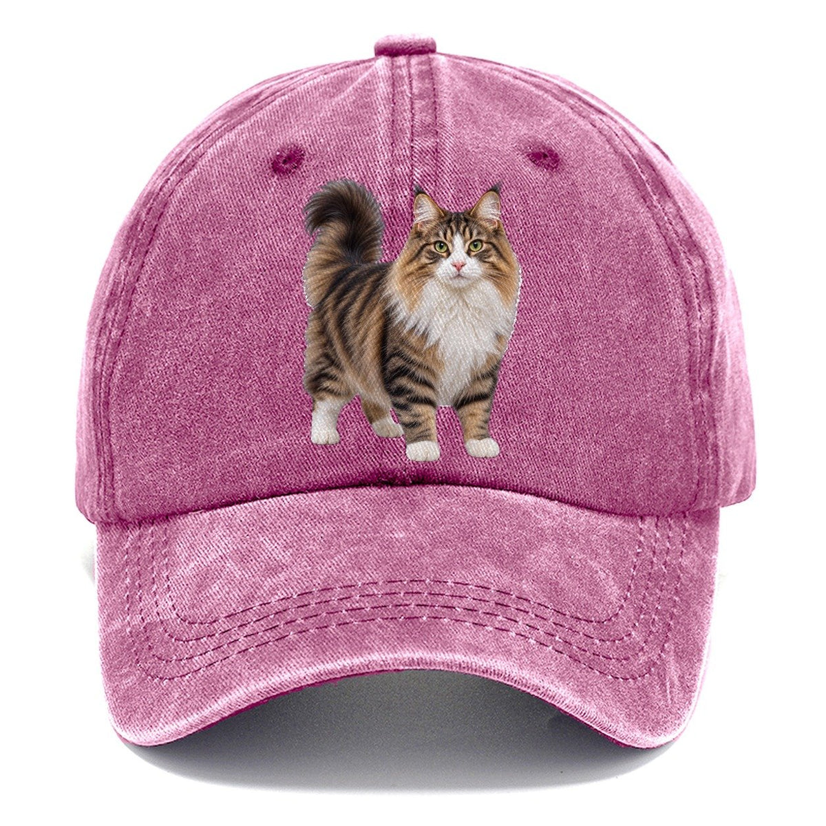 Norwegian Forest Cat Standing Three Quarter Realistic Cat Portrait Classic Cap – Dusty Rose