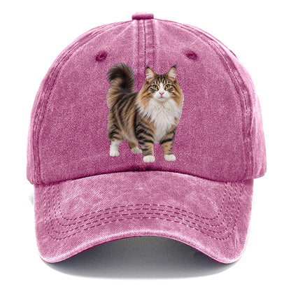 Norwegian Forest Cat Standing Three Quarter Realistic Cat Portrait Classic Cap – Dusty Rose