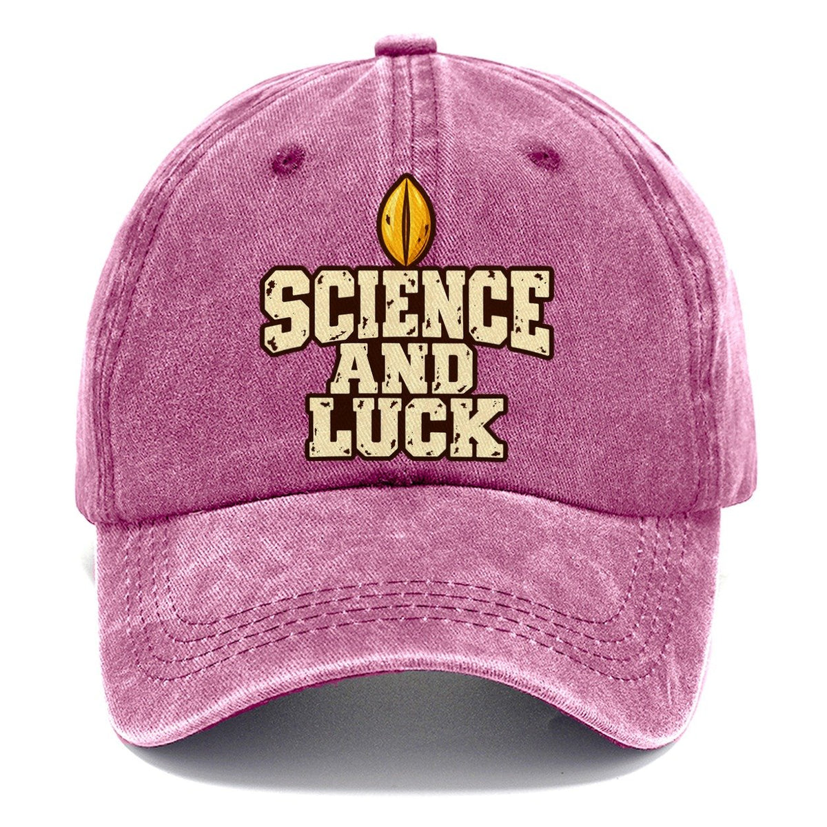 Science And Luck Brew Day Classic Cap – Dusty Rose