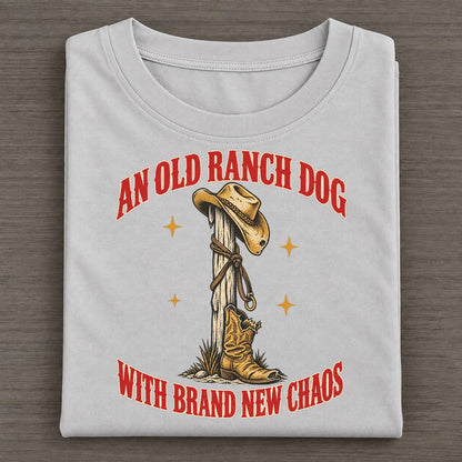 With Brand New Chaos Unhinged Affirmations Classic T-shirt – Grey