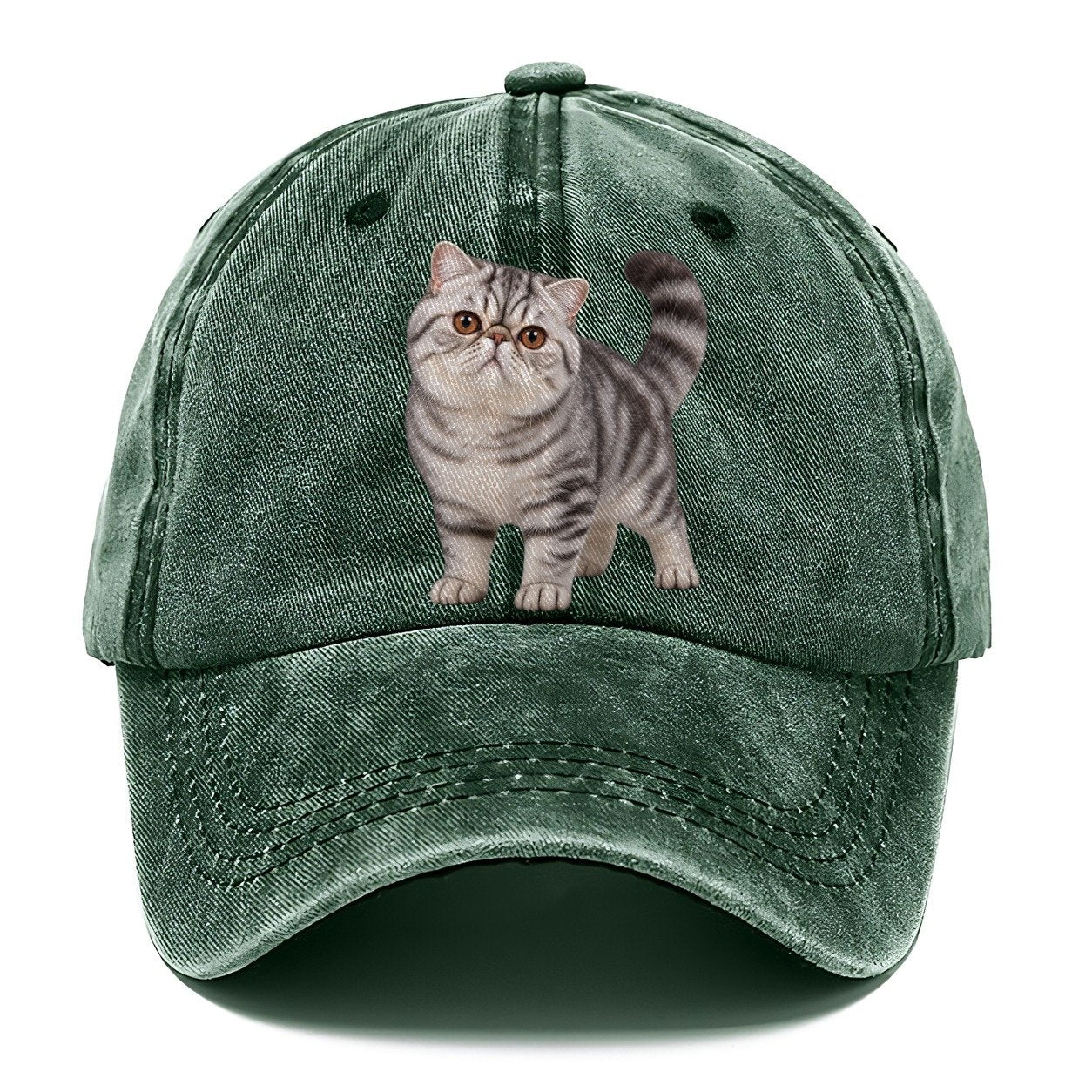 Exotic Shorthair Standing Three Quarter Realistic Cat Portrait Classic Cap – Forest Mist