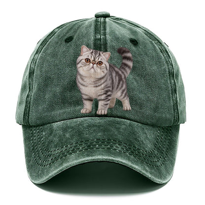 Exotic Shorthair Standing Three Quarter Realistic Cat Portrait Classic Cap – Forest Mist