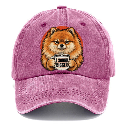 Pomeranian Mug Truths Dog Mug Truths Classic Cap – Dusty Rose