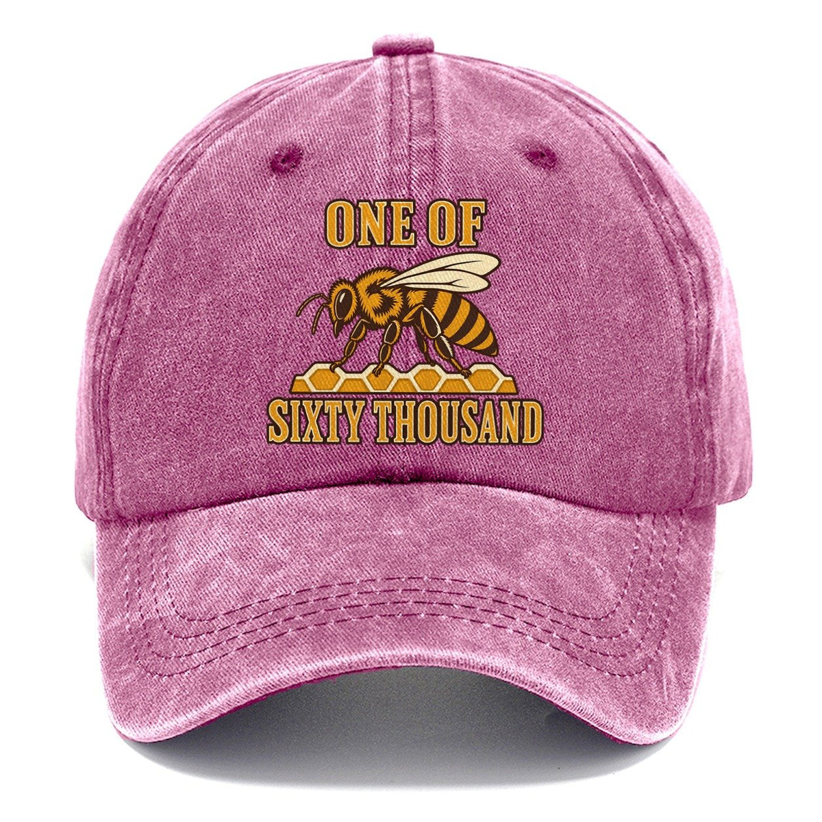 Sixty Thousand Sisters Beekeeping Classic Cap – Dusty Rose