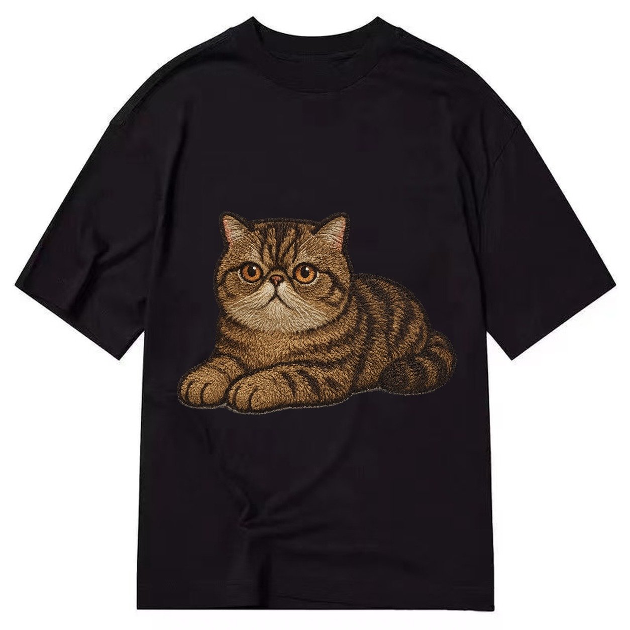Exotic Shorthair Flat Face Plush Coat Relaxed Lying Down Wit Classic T-shirt – Black