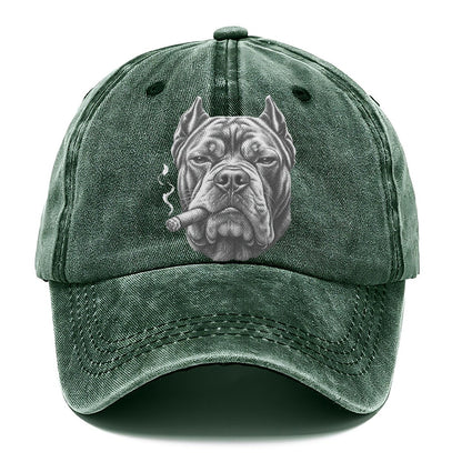 Cane Corso A Lit Cigar Smoking Dogs Smoking Dogs Portraits Classic Cap – Forest Mist