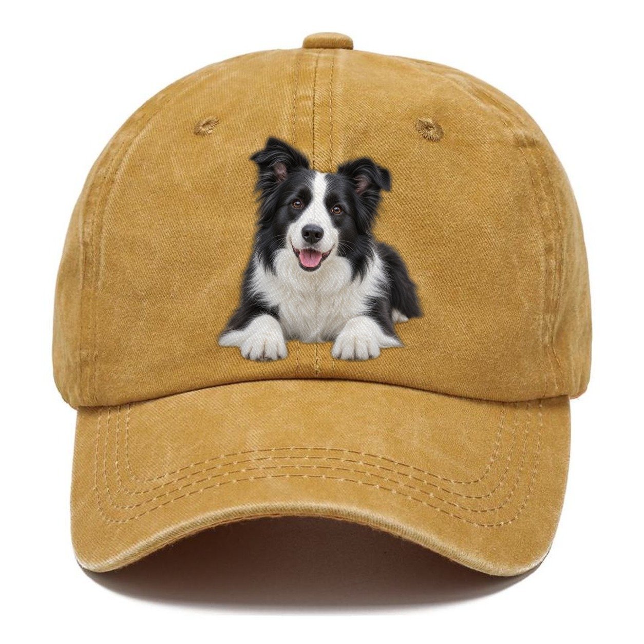 Border Collie Lying Down Top Breeds Classic Cap – Golden Harvest