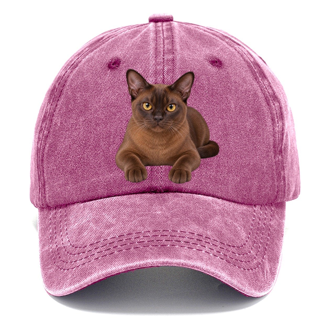 Burmese Reclining Paws Forward Realistic Cat Portrait Classic Cap – Dusty Rose