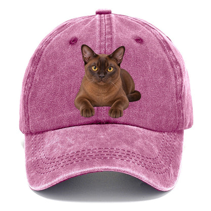 Burmese Reclining Paws Forward Realistic Cat Portrait Classic Cap – Dusty Rose