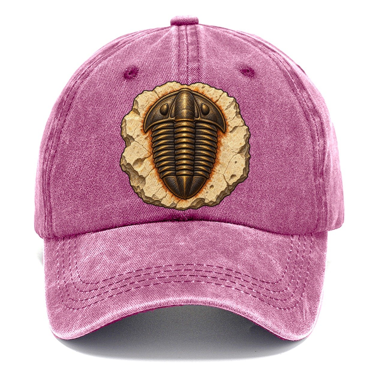 Trilobite In Limestone Rocks And Minerals Classic Cap – Dusty Rose