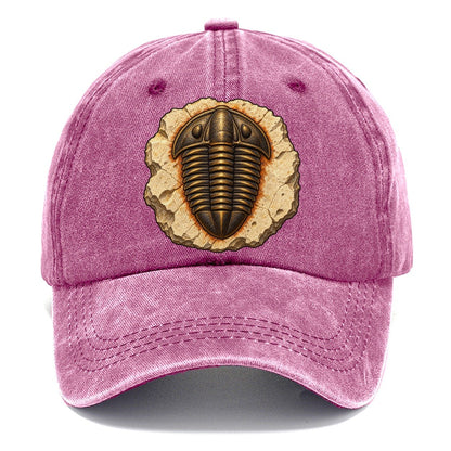 Trilobite In Limestone Rocks And Minerals Classic Cap – Dusty Rose