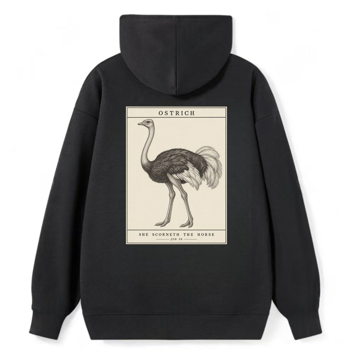 Ostrich Specimen Plate Creature Canticle Classic Pullover Hoodie – Black