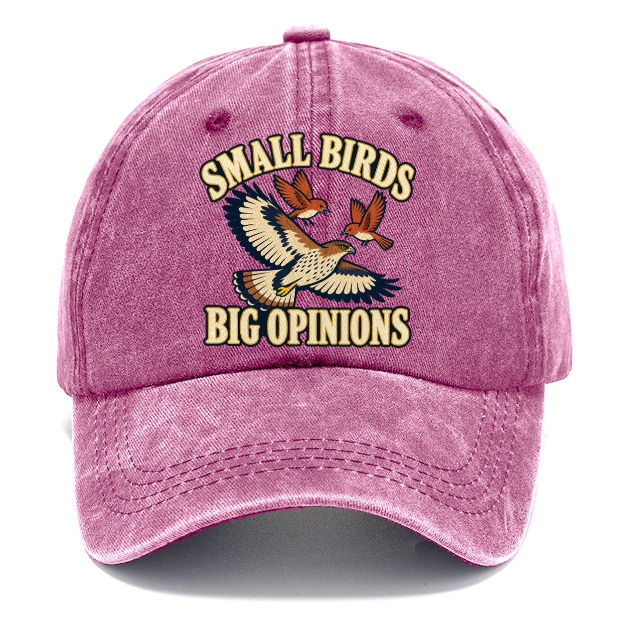 Small Birds Big Opinions Birdwatching Classic Cap – Dusty Rose