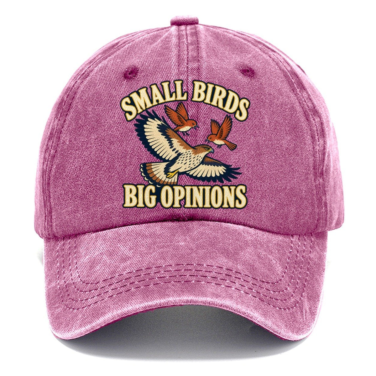 Small Birds Big Opinions Birdwatching Classic Cap – Dusty Rose