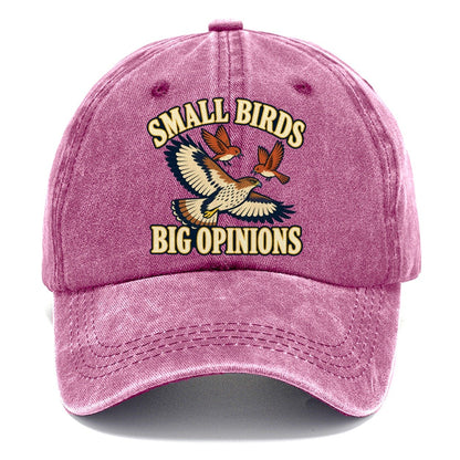 Small Birds Big Opinions Birdwatching Classic Cap – Dusty Rose