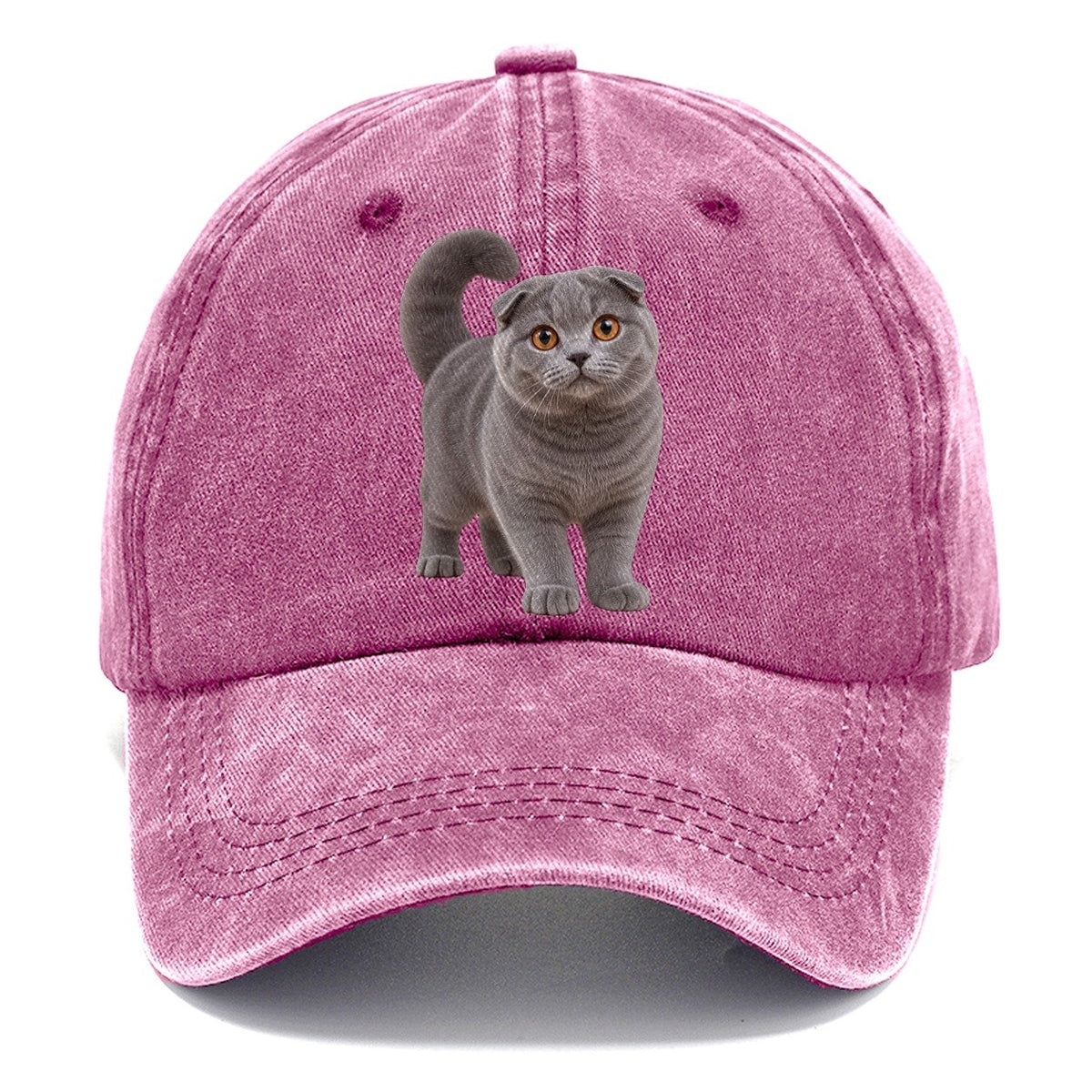 Scottish Fold Standing Three Quarter Realistic Cat Portrait Classic Cap – Dusty Rose