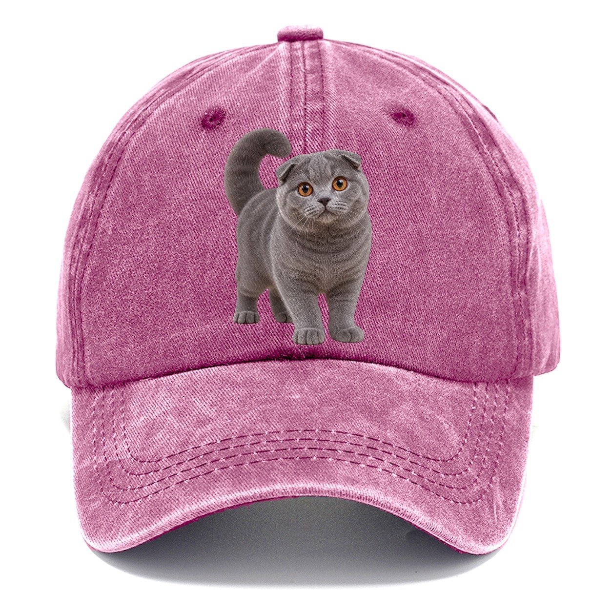 Scottish Fold Standing Three Quarter Realistic Cat Portrait Classic Cap – Dusty Rose