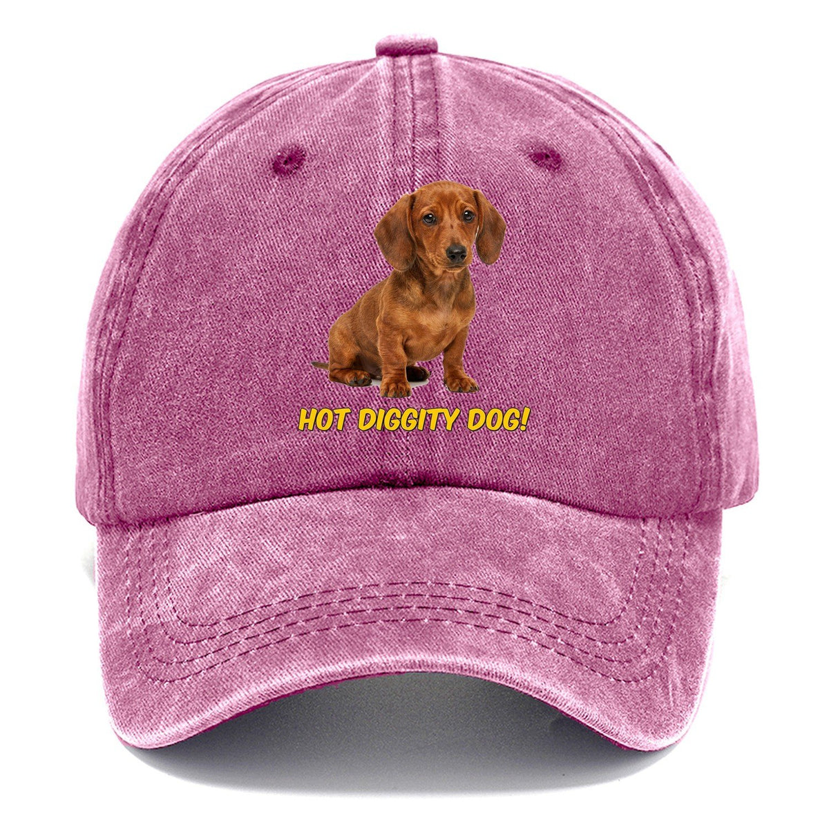 Hot Diggity Dog Classic Cap – Dusty Rose