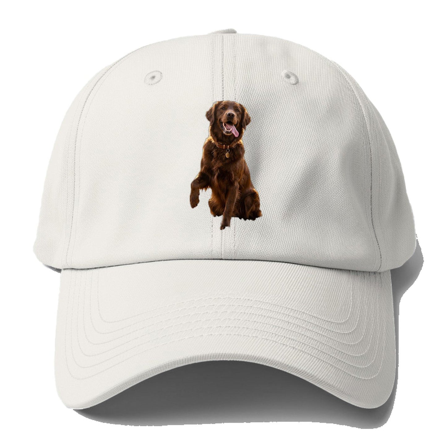 Dark Retriever Baseball Cap – Off White
