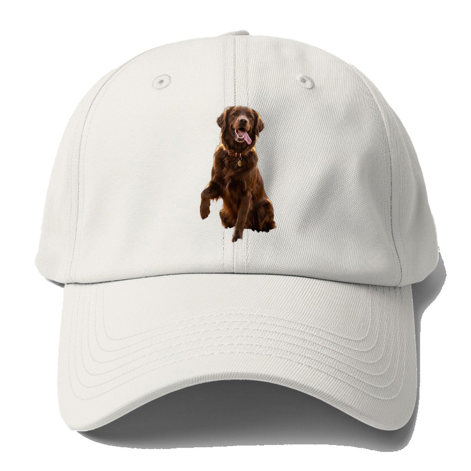 Dark Retriever Baseball Cap – Off White