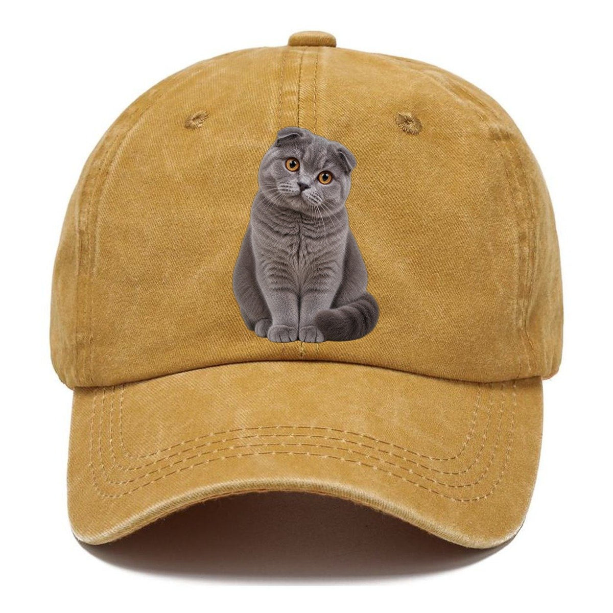 Scottish Fold Seated Portrait Realistic Cat Portrait Classic Cap – Golden Harvest