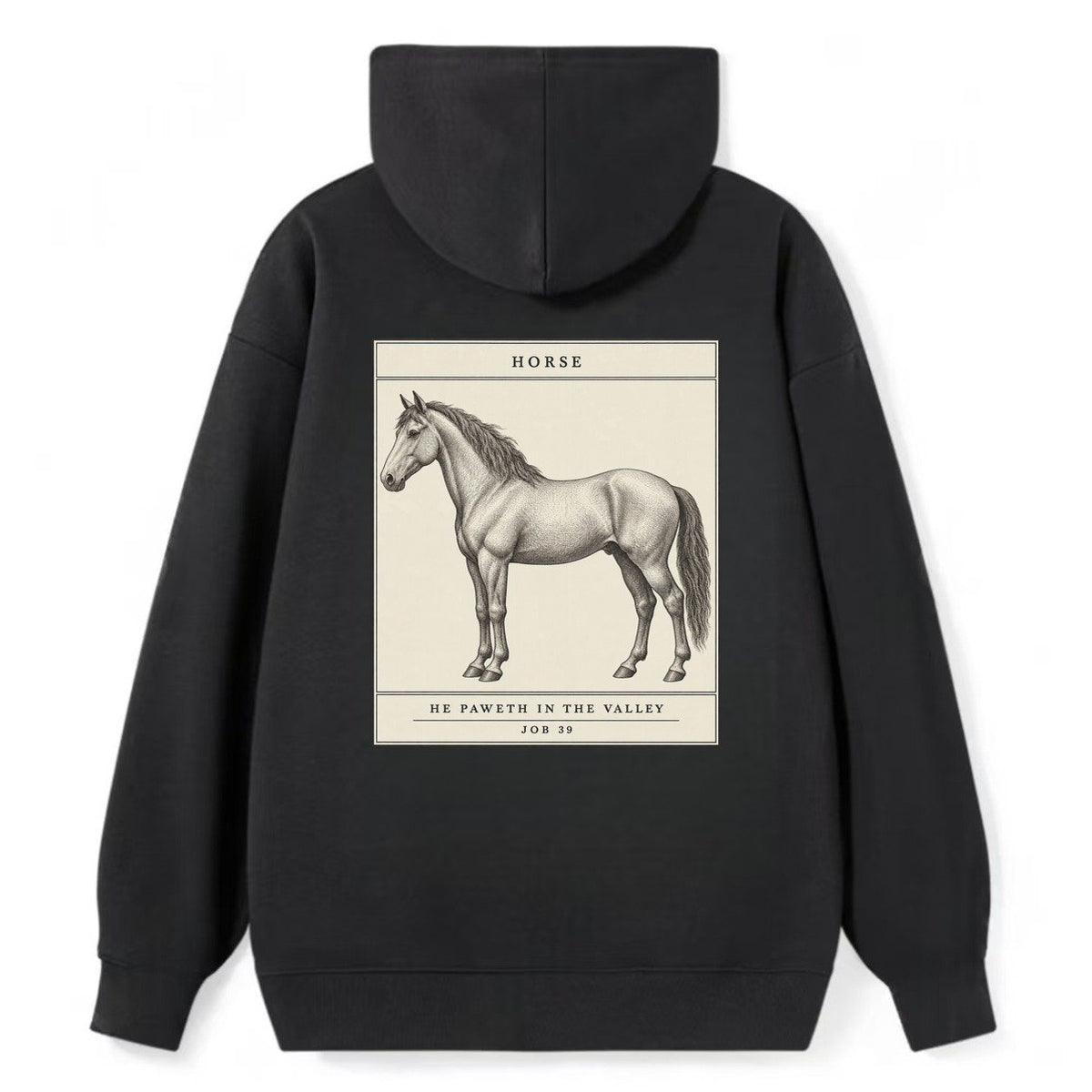 Horse Specimen Plate Creature Canticle Classic Pullover Hoodie – Black