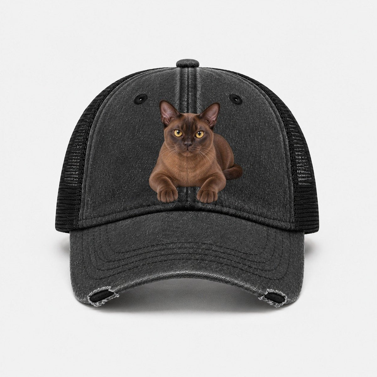 Black — front view