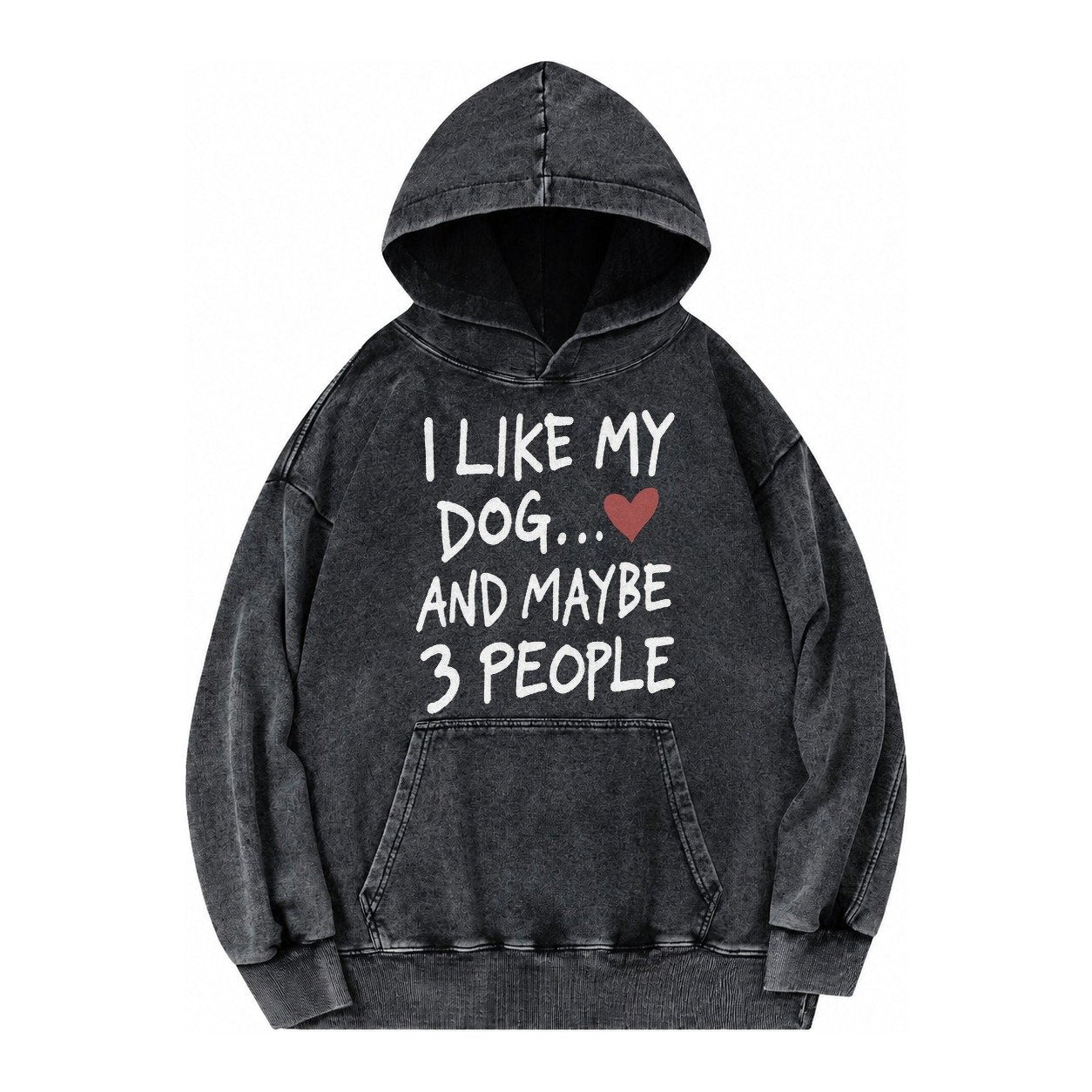 I Like My Dog And Maybe 3 People Vintage Washed Hoodie – Black
