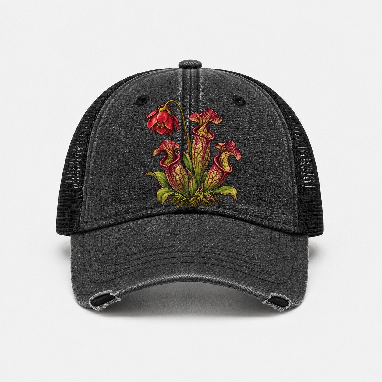 Black — front view