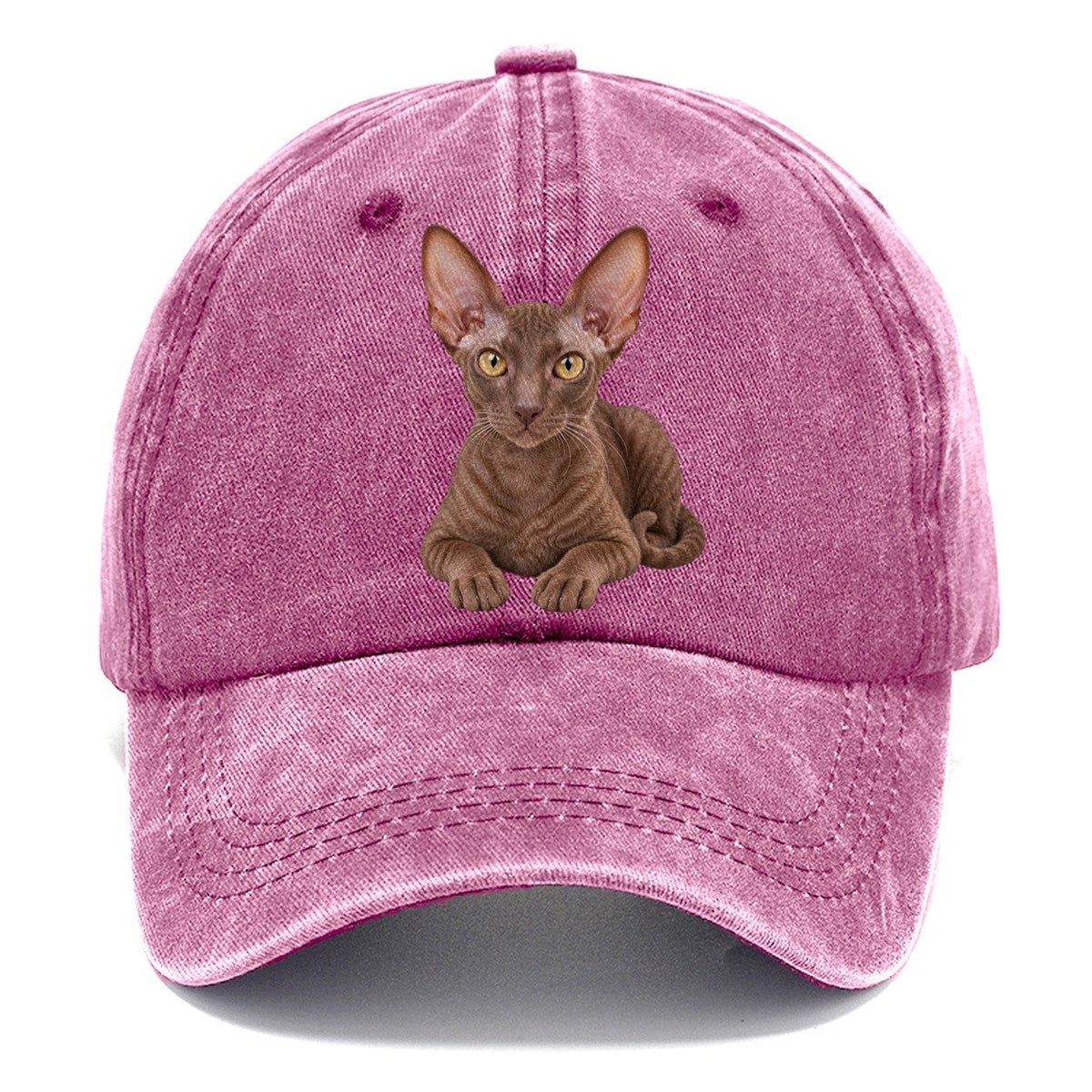 Cornish Rex Reclining Paws Forward Realistic Cat Portrait Classic Cap – Dusty Rose
