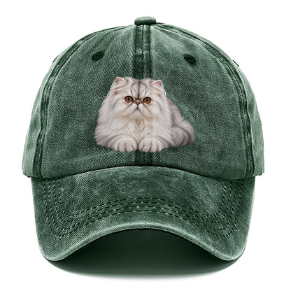 Persian Reclining Paws Forward Realistic Cat Portrait Classic Cap – Forest Mist