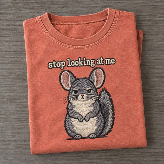Stop Looking At Me Strongly Worded Vintage T-shirt – Terracotta