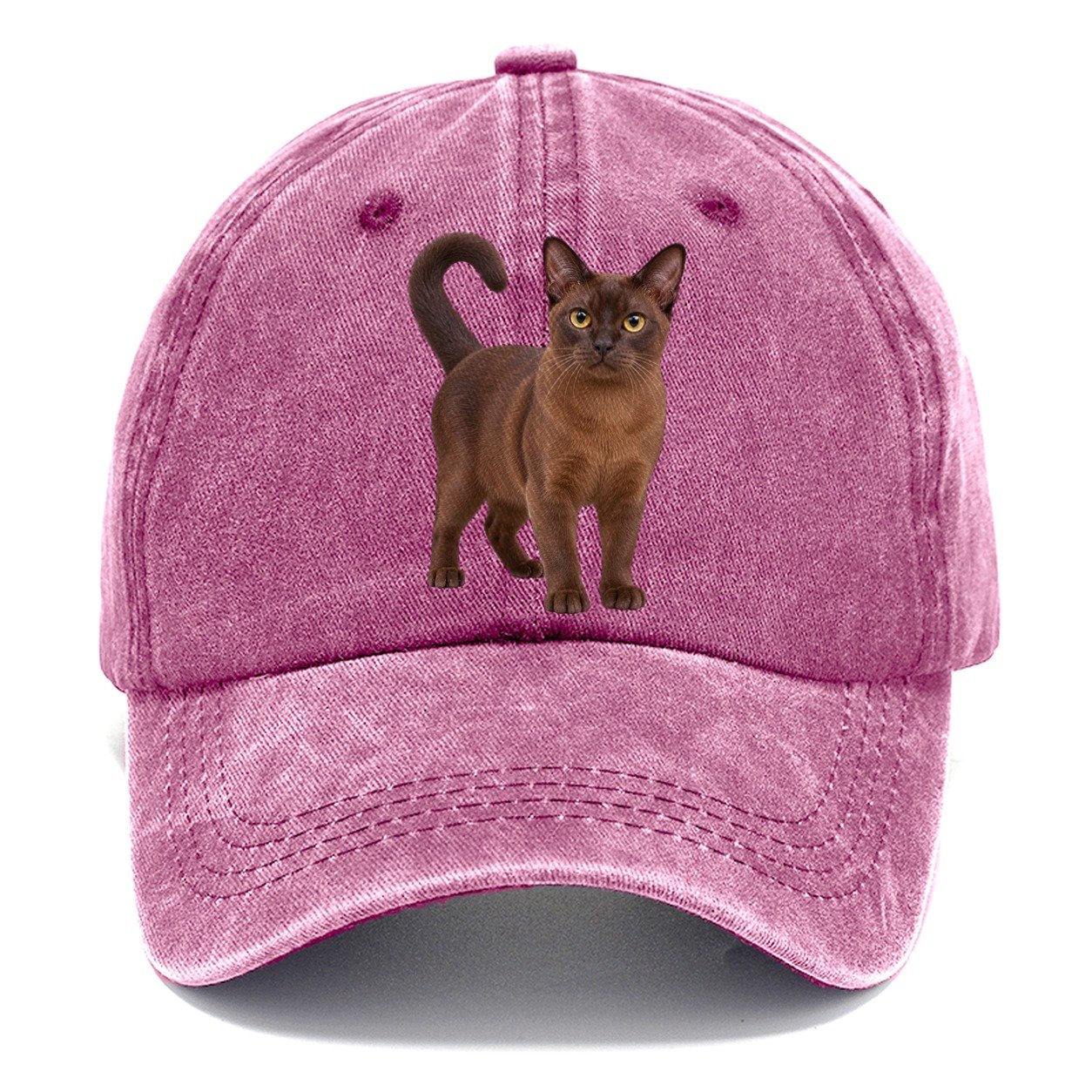 Burmese Standing Three Quarter Realistic Cat Portrait Classic Cap – Dusty Rose