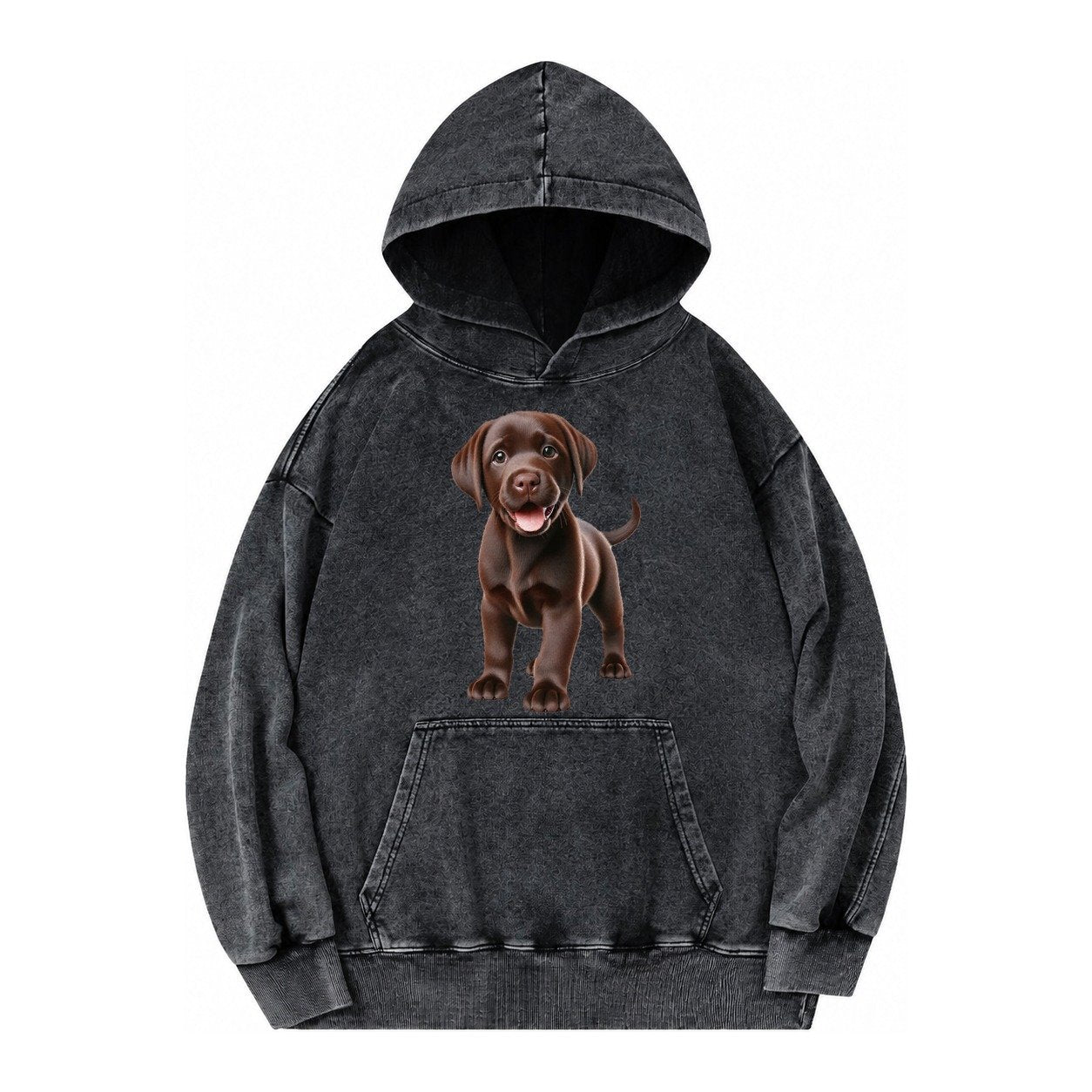 Chocolate Labrador Vintage Washed Hoodie – Black