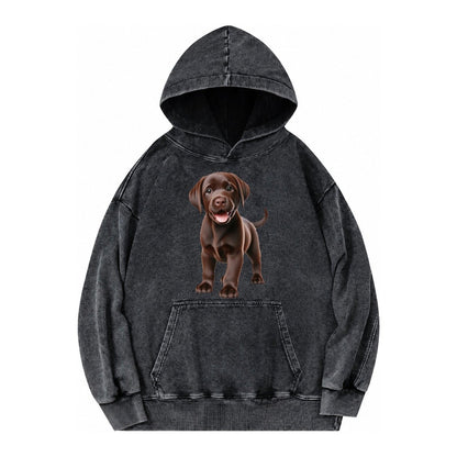 Chocolate Labrador Vintage Washed Hoodie – Black