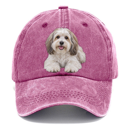 Havanese Lying Down Top Breeds Classic Cap – Dusty Rose