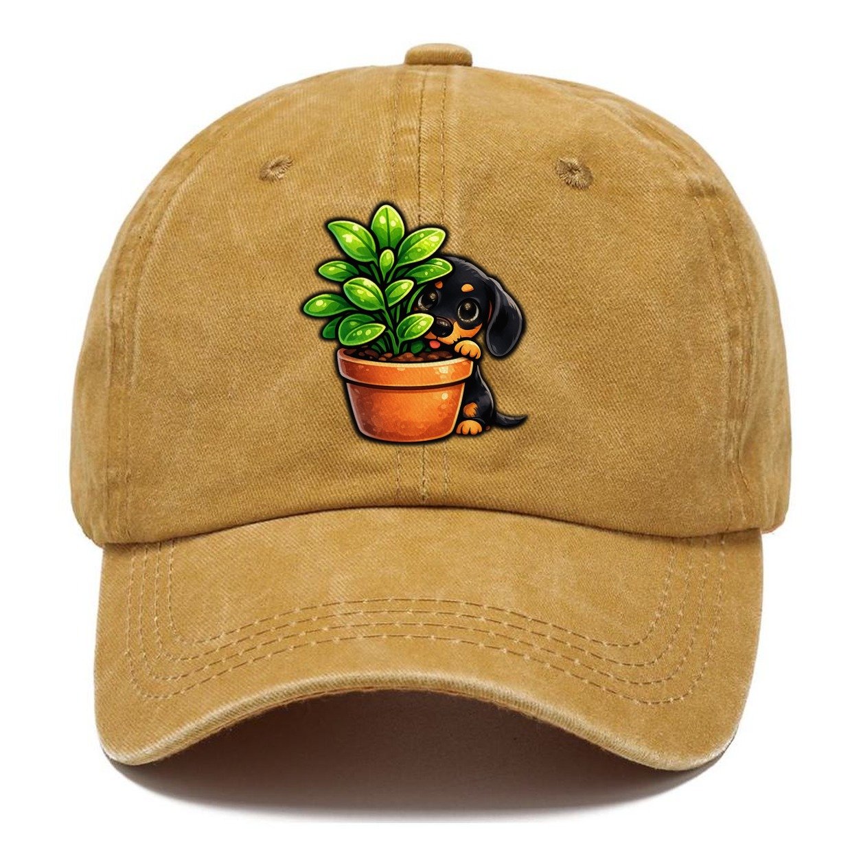 Introvert Dachshund Observing Quietly Classic Cap – Golden Harvest
