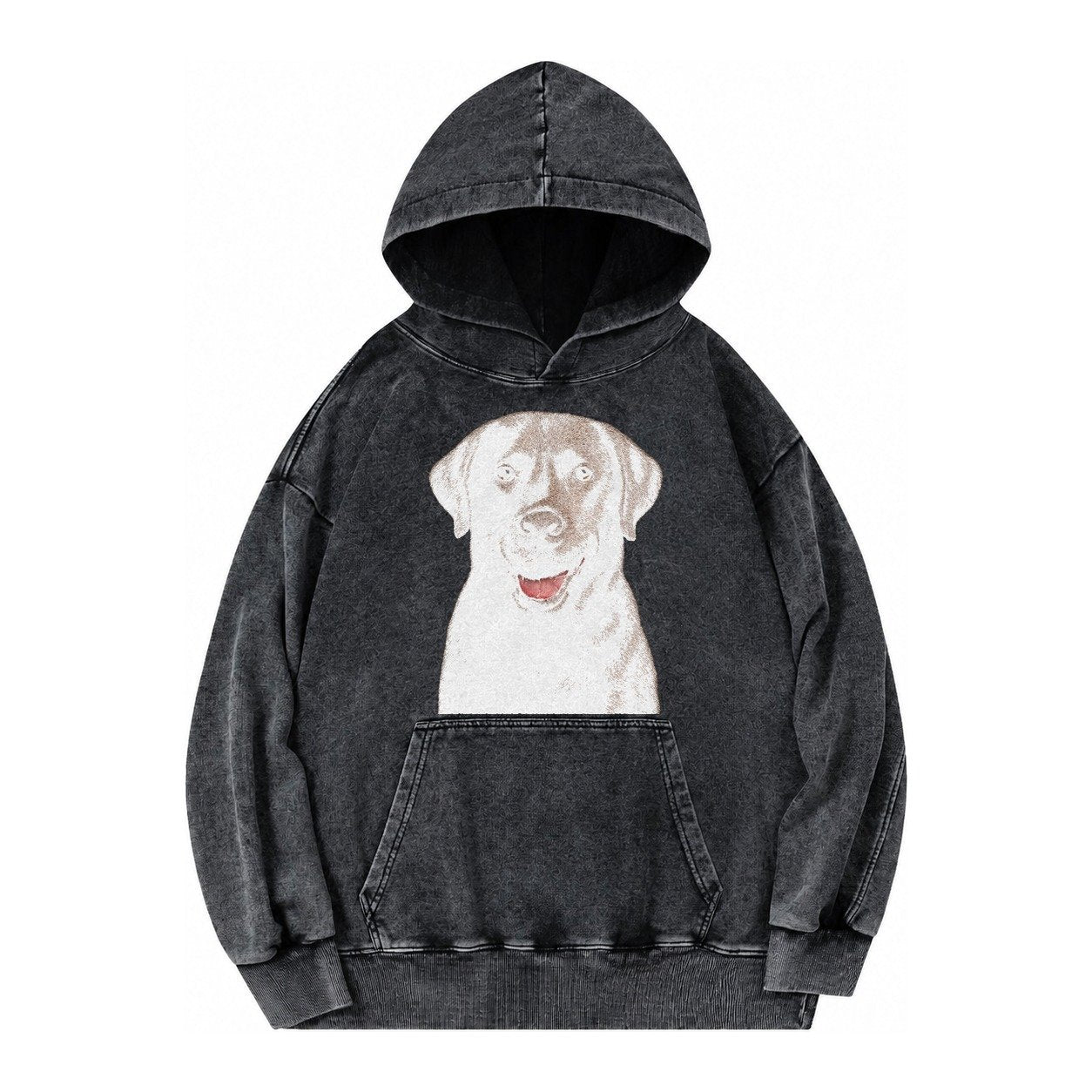 Labrador Friendly Family Vintage Washed Hoodie – Black