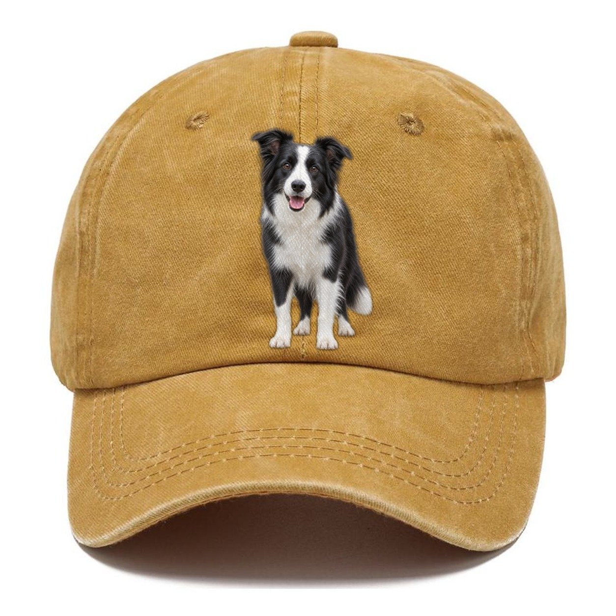 Border Collie Standing Top Breeds Classic Cap – Golden Harvest