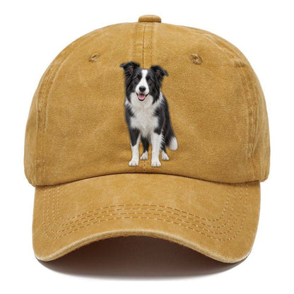 Border Collie Standing Top Breeds Classic Cap – Golden Harvest