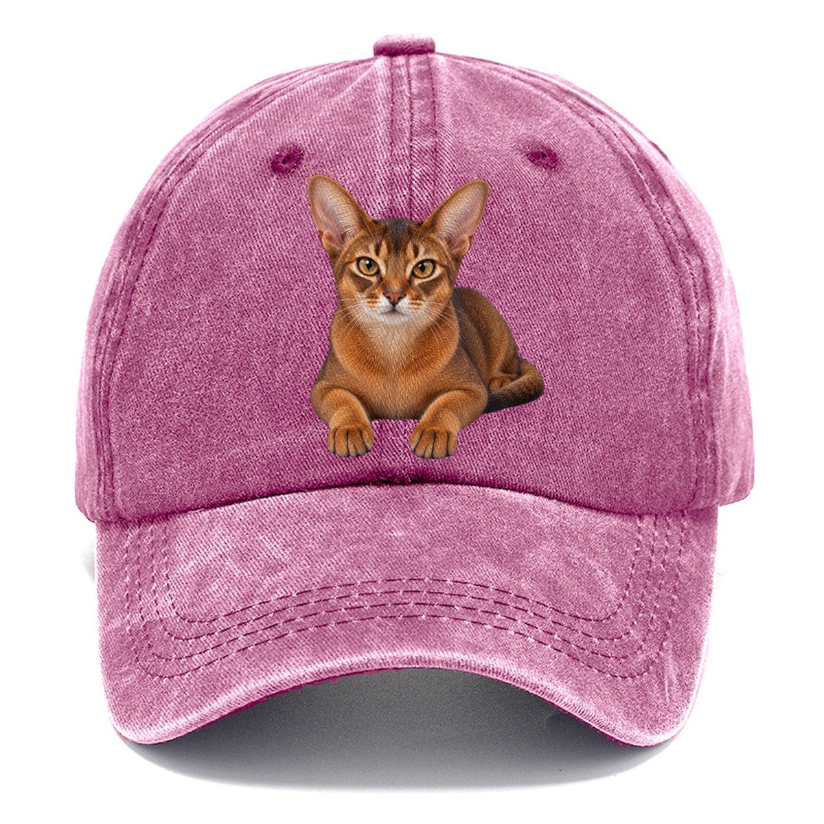 Abyssinian Reclining Paws Forward Realistic Cat Portrait Classic Cap – Dusty Rose