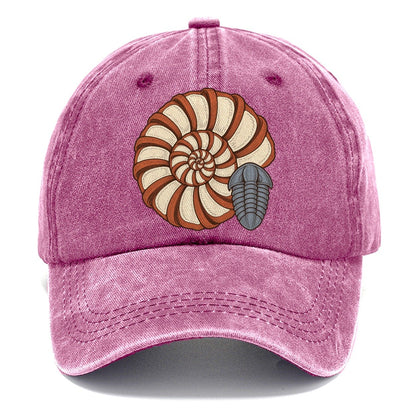 Ammonite Specimen Plate Rocks And Minerals Classic Cap – Dusty Rose