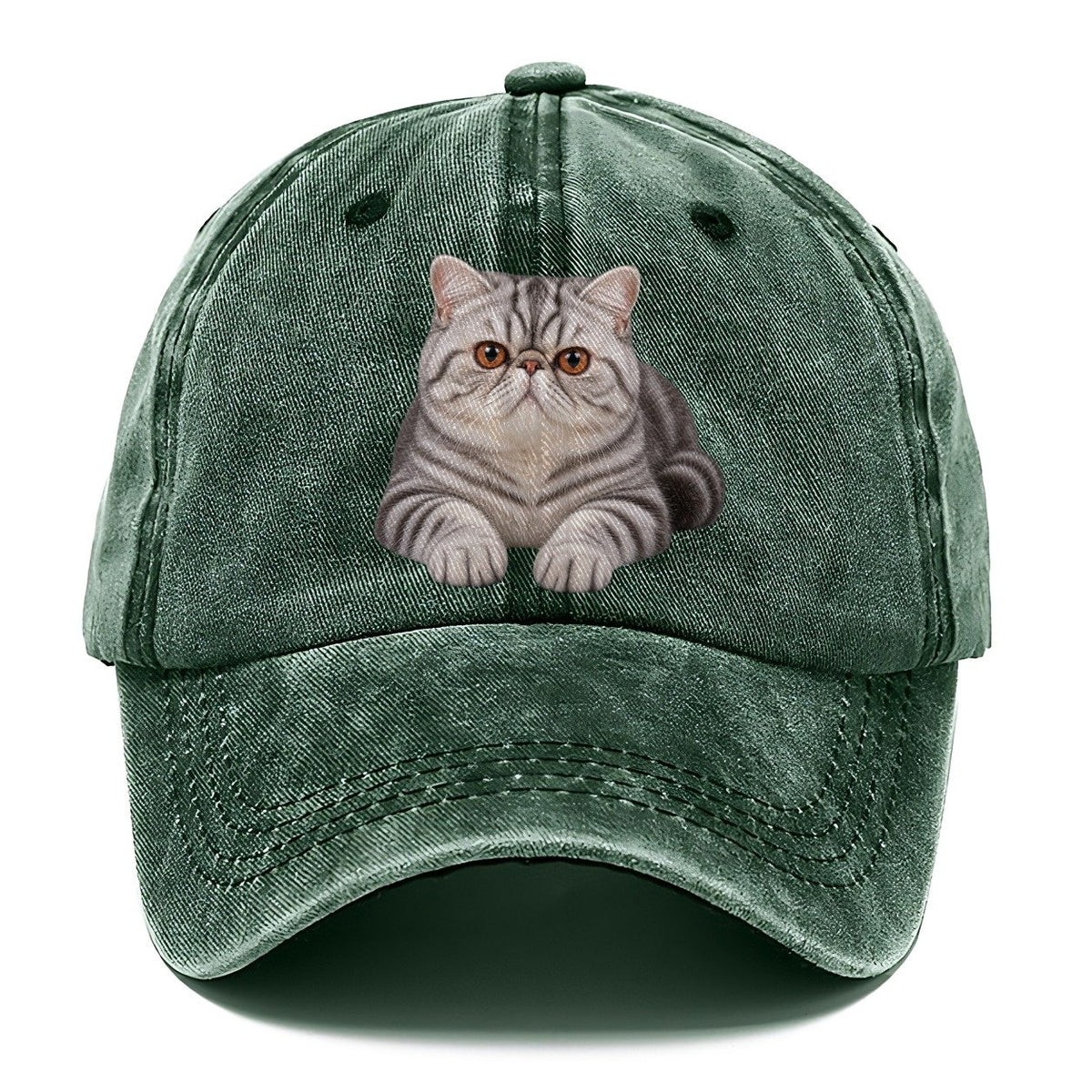 Exotic Shorthair Reclining Paws Forward Realistic Cat Portrait Classic Cap – Forest Mist