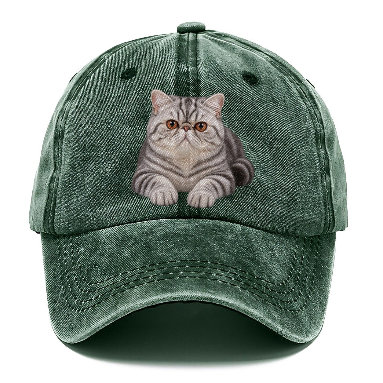 Exotic Shorthair Reclining Paws Forward Realistic Cat Portrait Classic Cap – Forest Mist