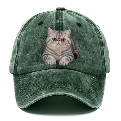 Exotic Shorthair Reclining Paws Forward Realistic Cat Portrait Classic Cap – Forest Mist