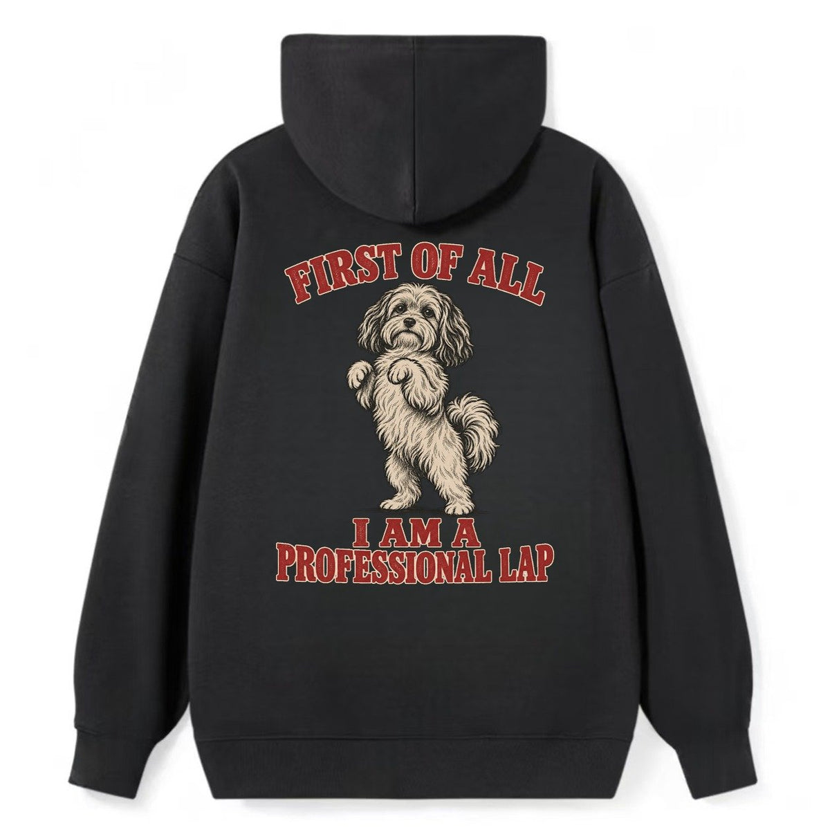Havanese Dog Declarations Classic Pullover Hoodie – Black
