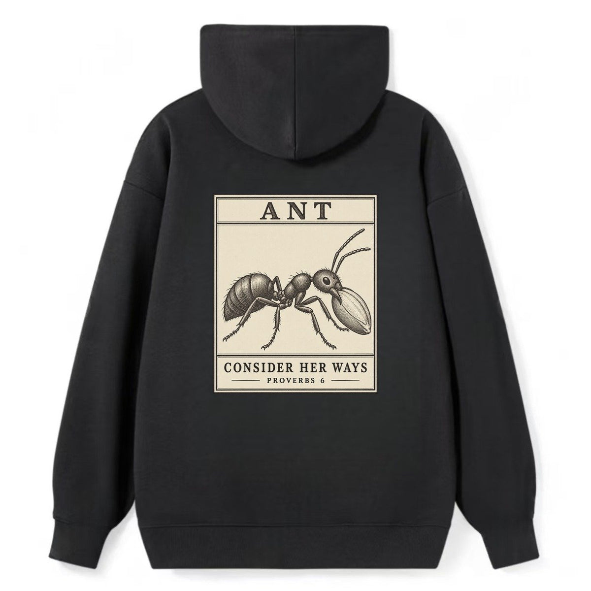 Ant Specimen Plate Creature Canticle Classic Pullover Hoodie – Black