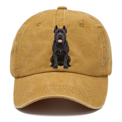 Cane Corso Sitting Top Breeds Classic Cap – Golden Harvest