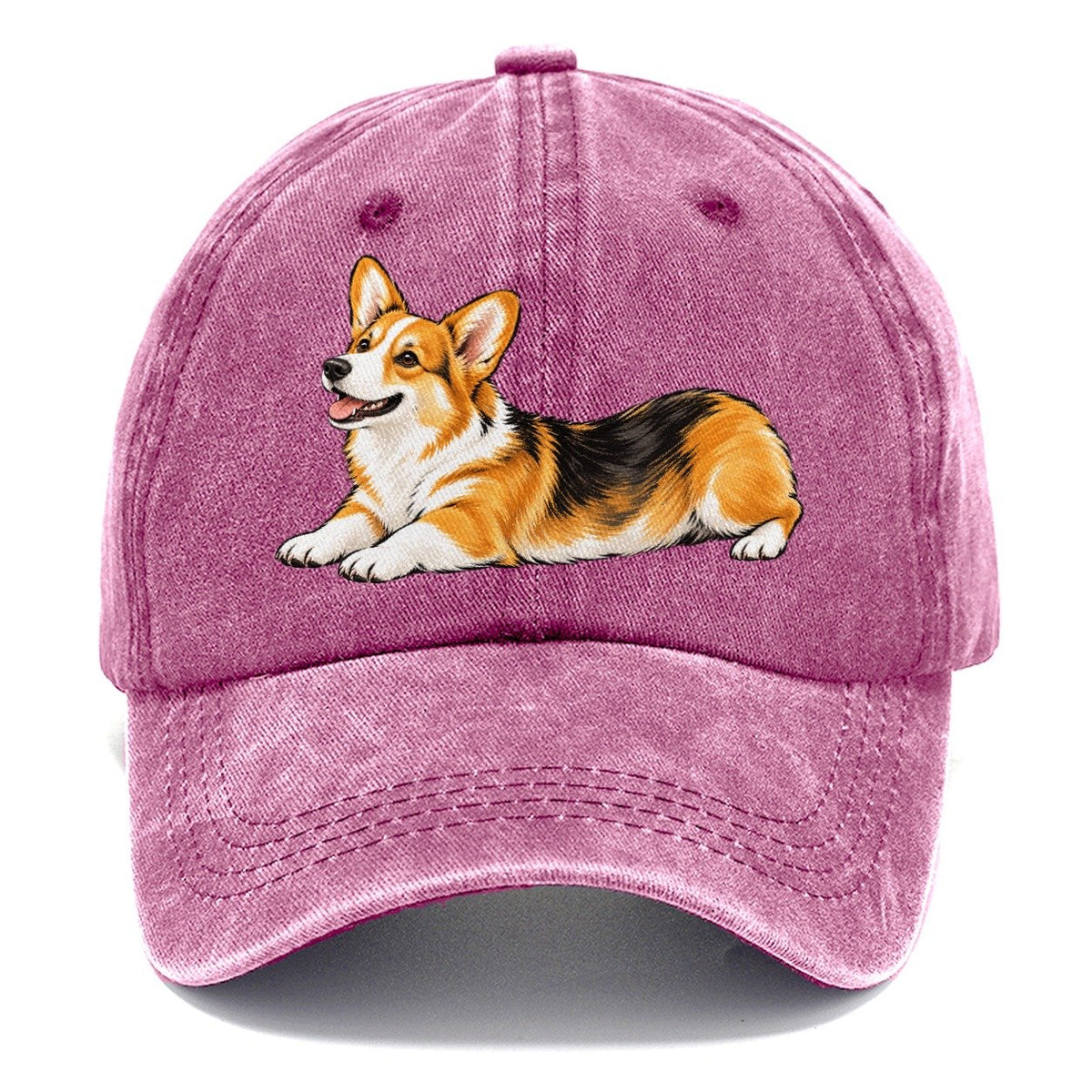 Lying Corgi Classic Cap – Dusty Rose