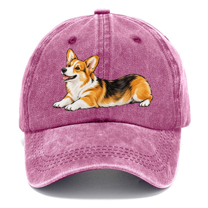 Lying Corgi Classic Cap – Dusty Rose
